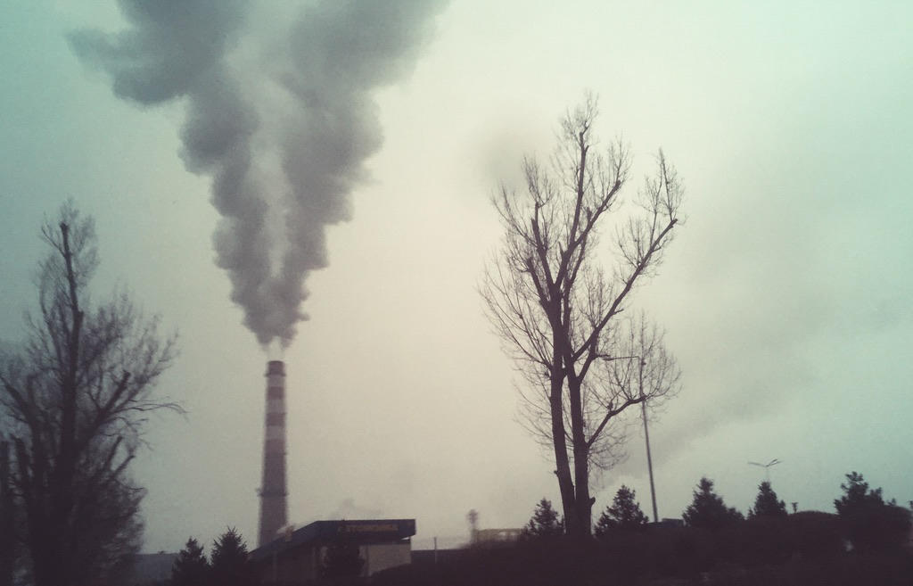 Экоактивисты выступили с требованиями к акимату Алматы