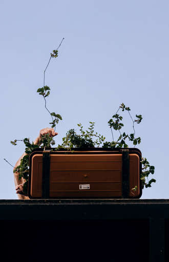 Руки и цветы