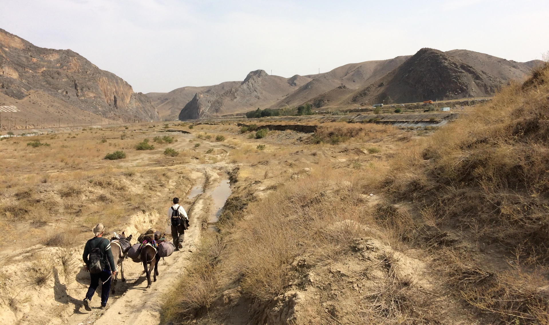 Пандемиядан кейінгі әлем