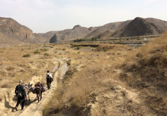 Пандемиядан кейінгі әлем