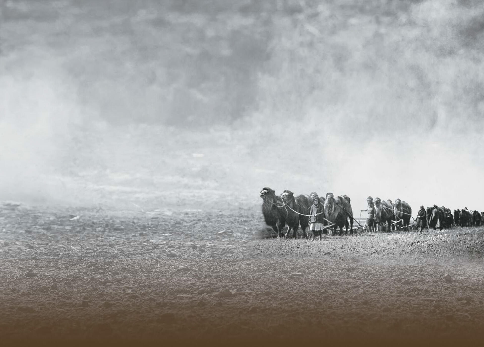 Голодная степь