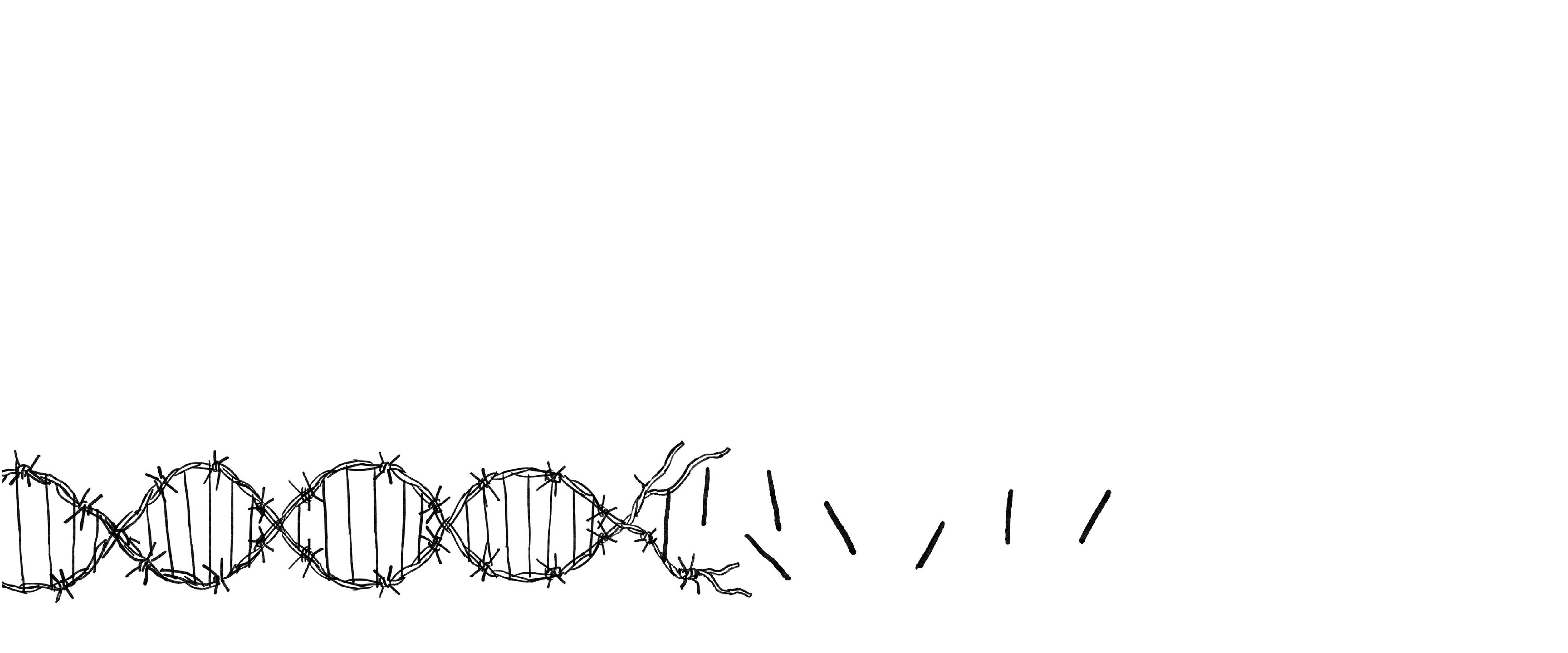 Деколонизация-2022 (и другие ключевые слова года)