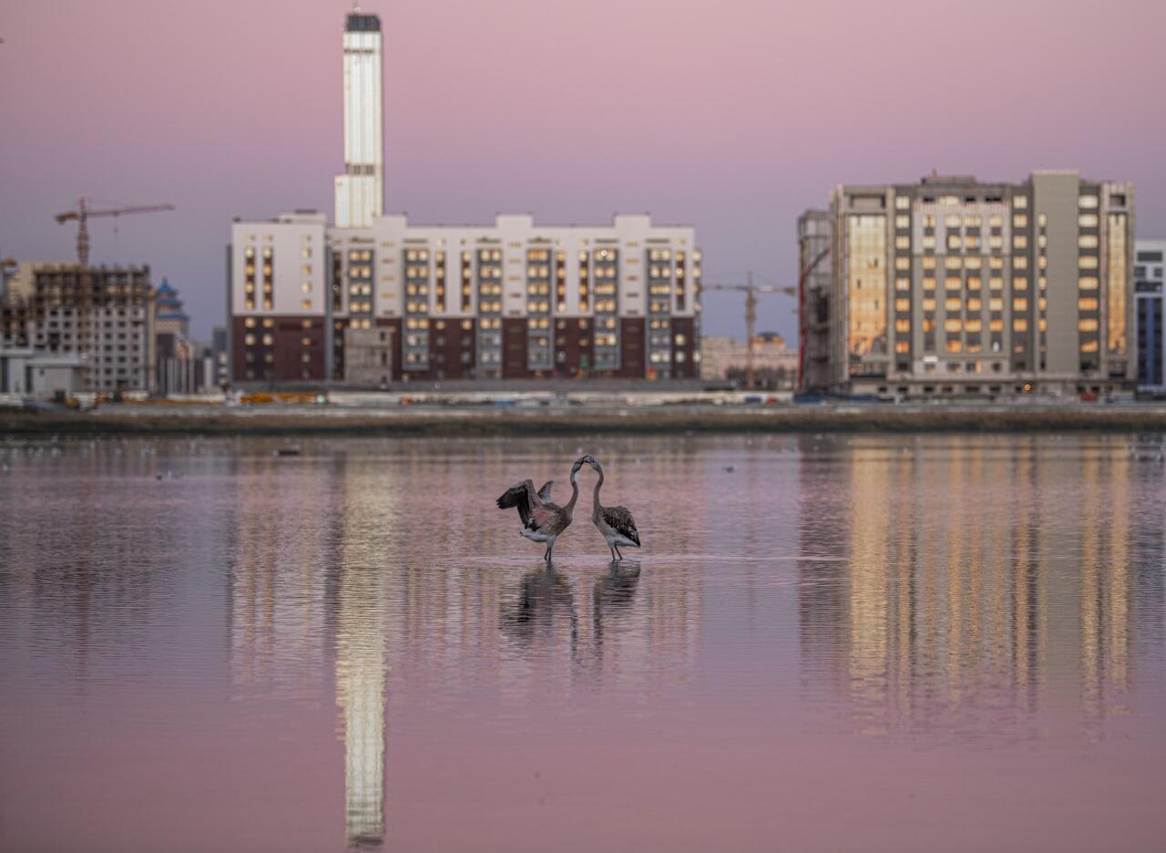 SOS Taldykol и «Зеленое спасение» обратились к участникам COP15