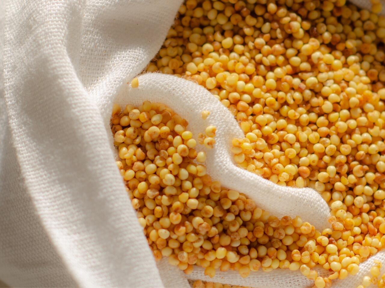 Выставка Аиды Әділбек «Талқан, тары, топырақ» в Алматы