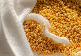 Выставка Аиды Әділбек «Талқан, тары, топырақ» в Алматы