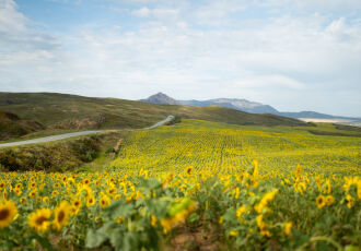 Документальный фильм «ШЫҒЫС: ЖЕР, СУ, АУА» будет показан в Оскемене и Астане