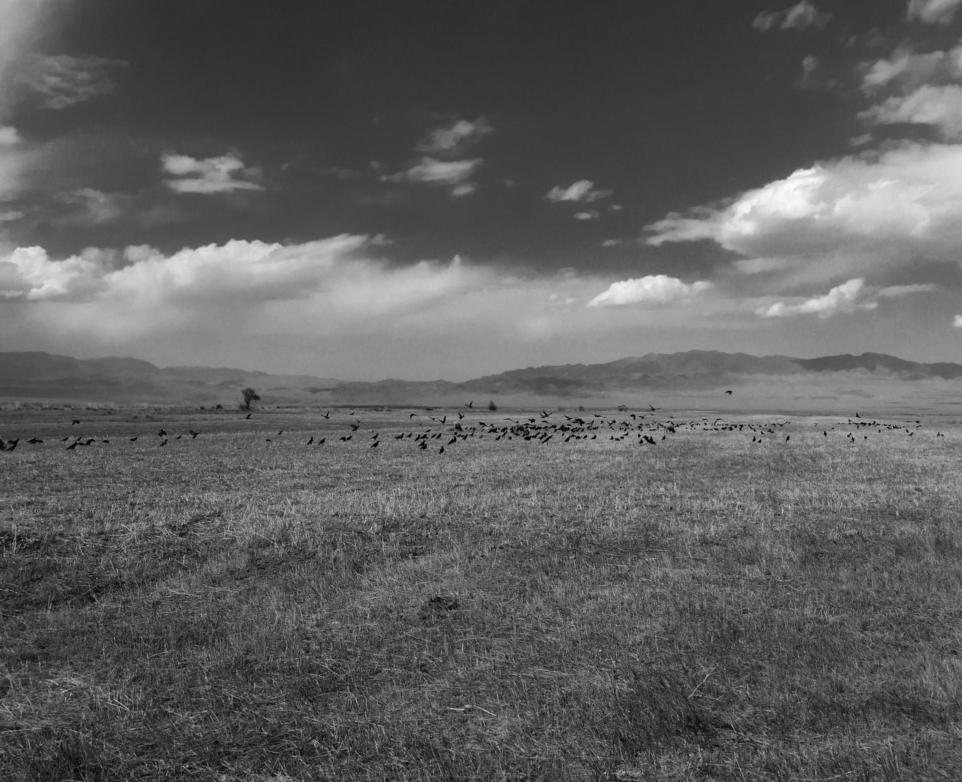 The Wall Street Journal: Забытый советский голод