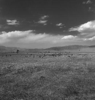 The Wall Street Journal: Забытый советский голод