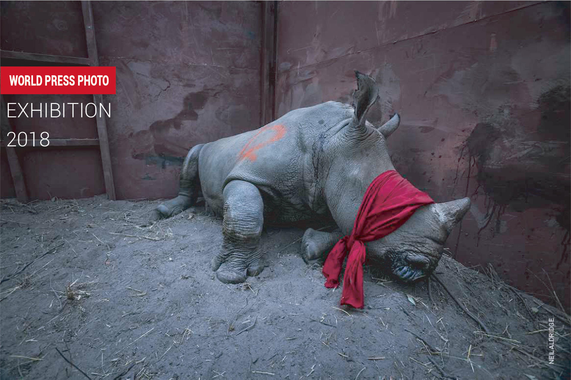 World Press Photo 2018 бірегей көрмесі