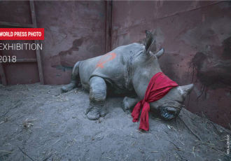 Выставка World Press Photo 2018 в Казахстане