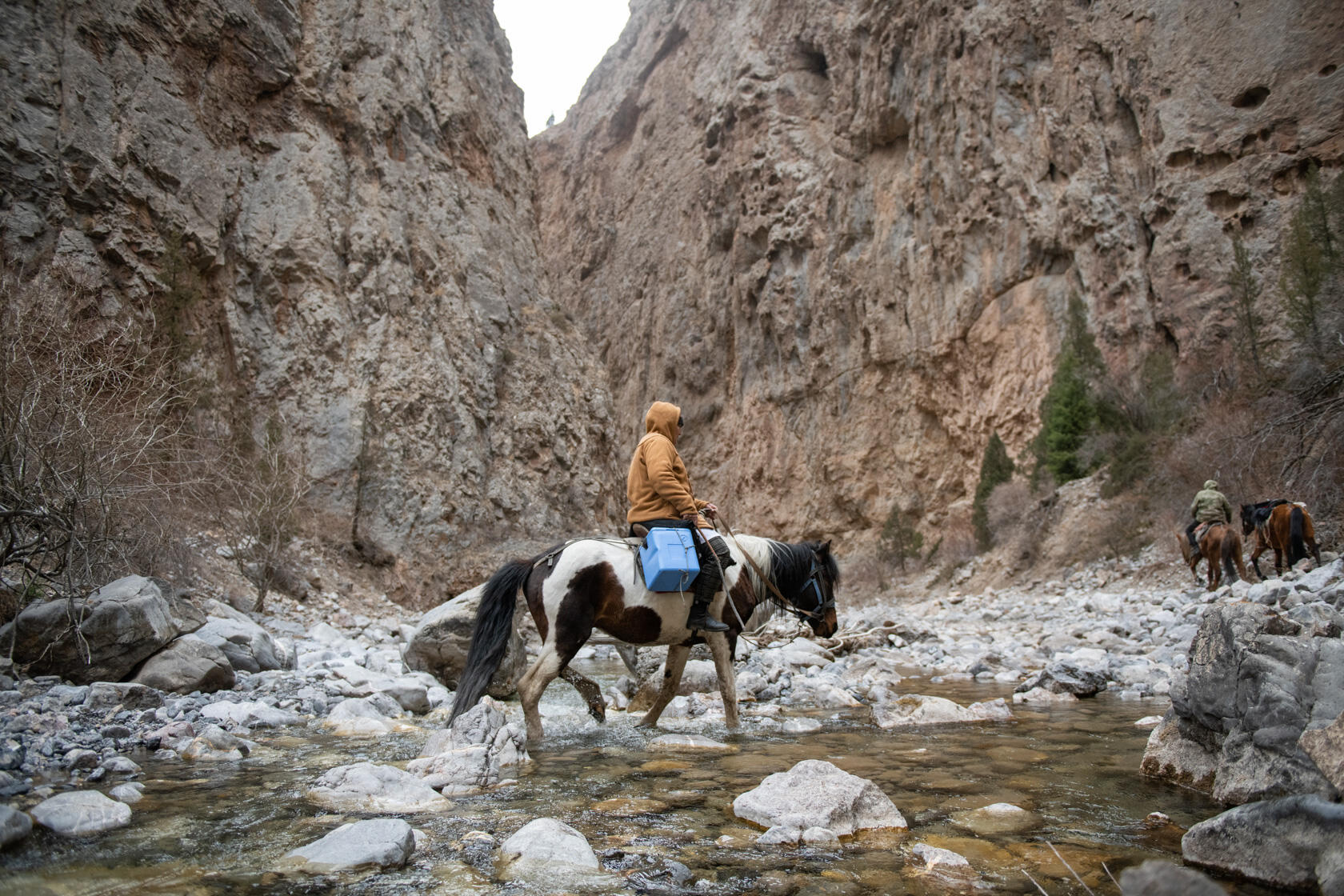 Горный медик